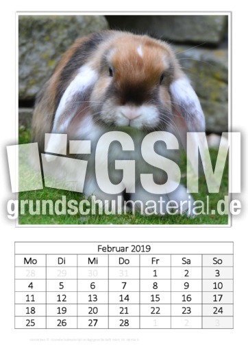 Februar_Kaninchen_1.pdf